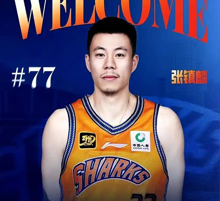 张镇麟交易上海真相曝光：异地恋成主因，与杨